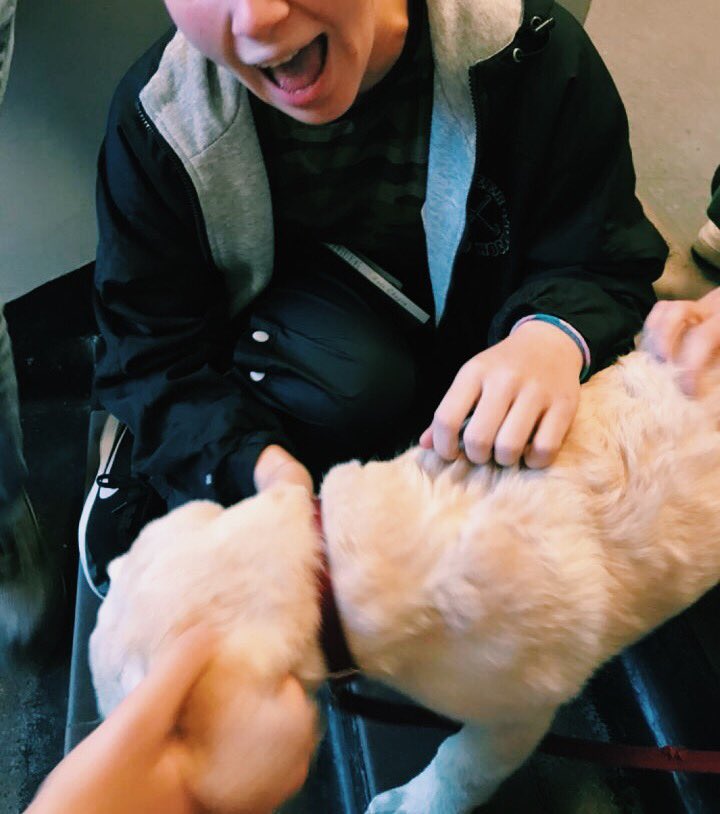 lucydscott's tweet photo. shiloh appreciation post bc i love this lil dude so much and some love from a puppy was exactly what i needed this morning #thecommunitydifference 🤩🌈 https://t.co/KdCEdOwQoD