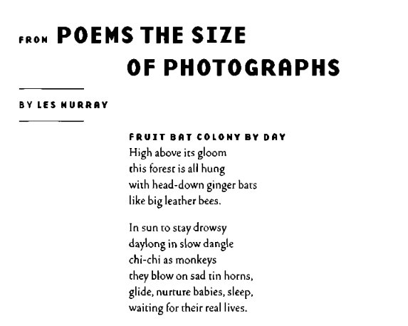 Happy 80th birthday to Les Murray. This poem was published in Meanjin in 2001. 