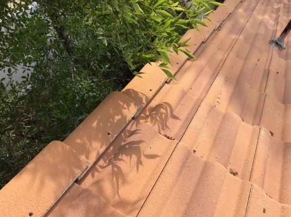 WeathertightRoo's tweet image. For problem free roofs keep tree branches and leaves away from your roof!

#roofproblems #roofissues #roofsolutions #roofer #roofing #weathertightroofing #hemet #sanjacinto #vallevista #menifee #perris #beaumont #banning #redlands #yucaipa #calimesa