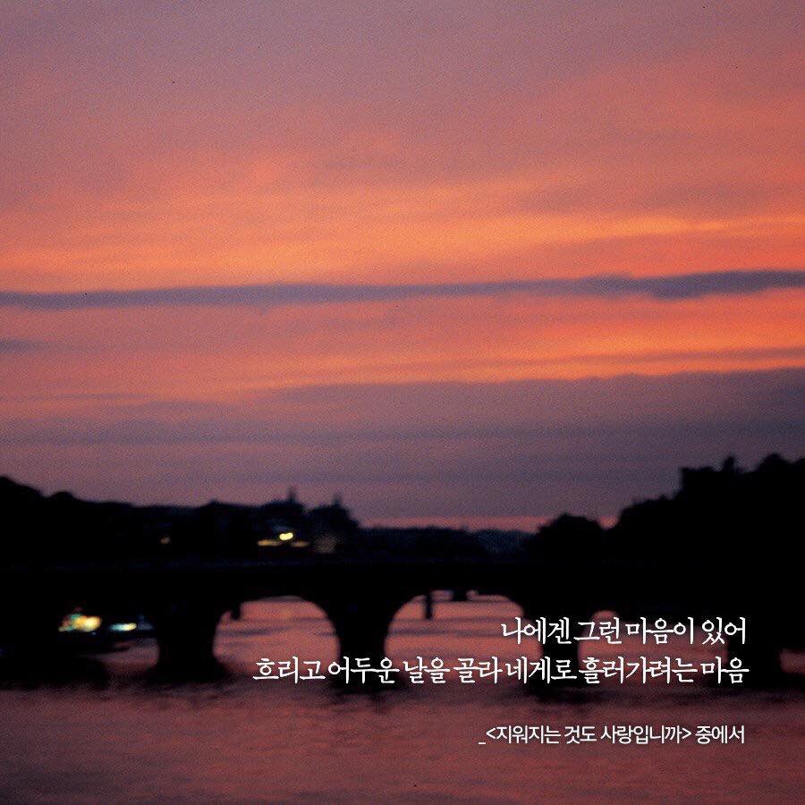 황경신 글 / 김원 사진 <지워지는 것도 사랑입니까> 중에서
YES24 : bitly.kr/49Of