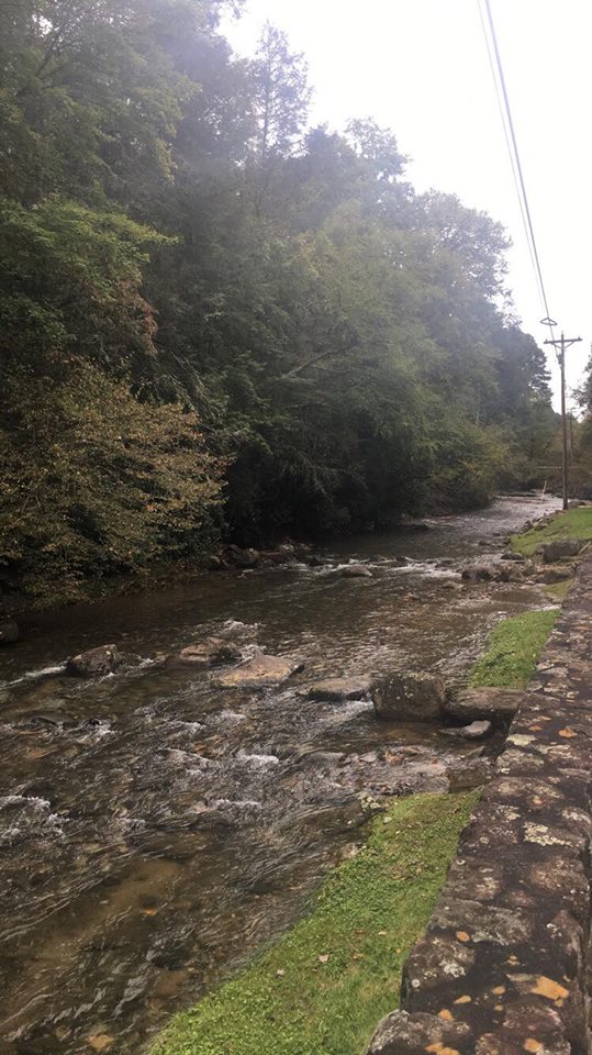 TourAppalachia's tweet photo. The Appalachian range provides great fly-fishing streams for experienced and beginners alike #WataugaStream #DoeRiver #GetOutside https://t.co/dFVSXmlP7O