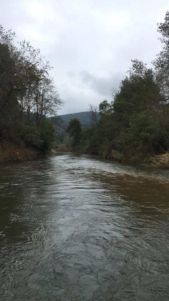The Appalachian range provides great fly-fishing streams for experienced and beginners alike #WataugaStream #DoeRiver #GetOutside