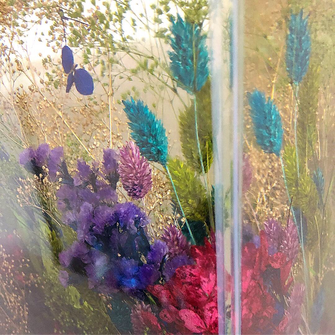 巨大ハーバリウム