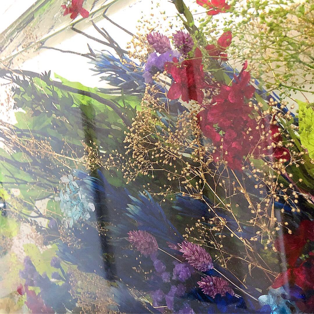 巨大ハーバリウム