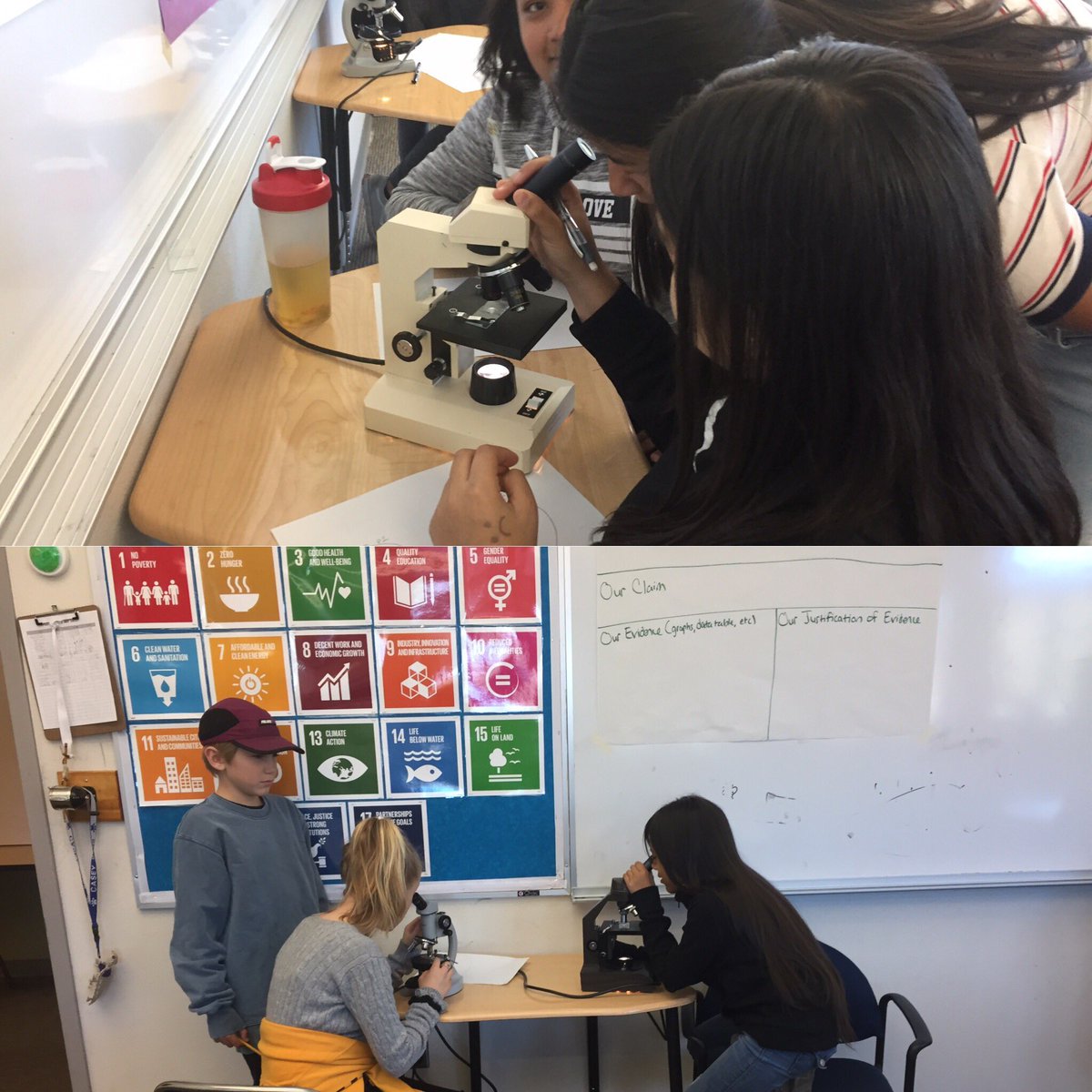 Erinsmayer's tweet photo. 7th grade @CaseyMiddleSch Ss collect data to determine if the underpass construction project at Boulder HS is disrupting populations of protists in Boulder Creek. #mayerscience #CaseyProud #ecosystemdisruptions https://t.co/z7BAlke9bA