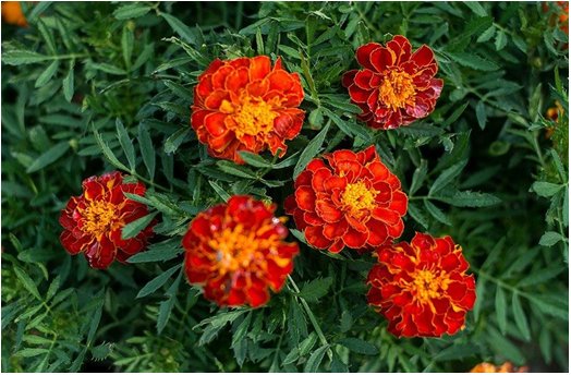 xi_sr's tweet photo. Oral vitamins or minerals can help relieve eye fatigue and inflammation.
https://t.co/sba19PZhx9 https://t.co/4ah9C1l1Rl