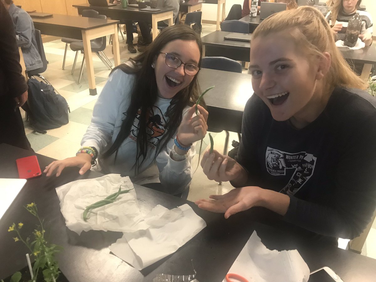 Coach_Craig16's tweet image. Harvested and ate green beans from the greenhouse today in Plant Biology!  Sorry @ryanjeann missed it!  #ArapClassrooms2018