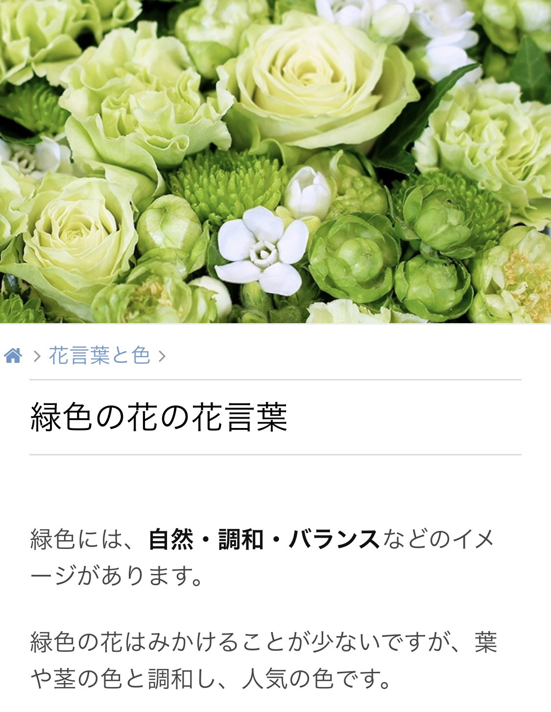 オードリーaudrey Pa Twitter Ahh Dang Does It I Didn T See That Cuz The Japanese Ones Just Wrote Stuff Like Growth Nature Harmony And Balance I Ll Check Out The Western Meanings And Post