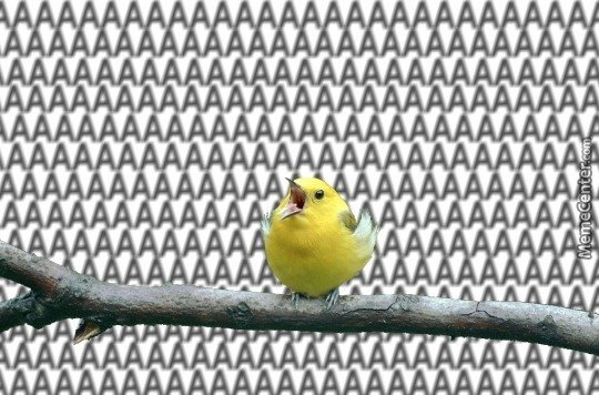 AimanAttorney's tweet image. #YouTubeIsBack mah dudes....

AAAÀAAAAAAAAAAAAAA