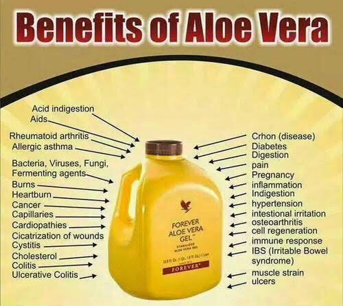 AAdeshike's tweet photo. This is the aloe gel which comes with a lot of benefits https://t.co/zxl5wrCm0U