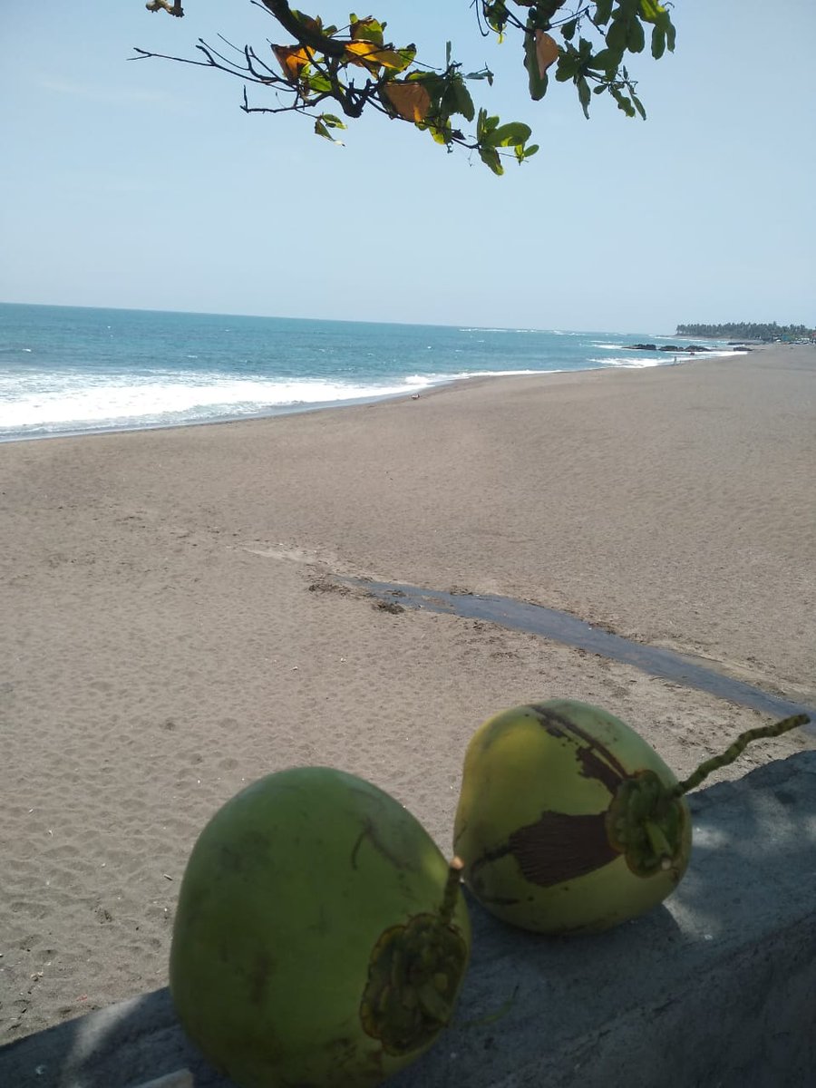 DVMBali's tweet photo. In #bali #pantailima beach #dvmbali #thedoubleviewmansionsbali #holiday #canggu #pererenan @IndonesiaGaruda  @bank_indonesia  @CNNTravel 🕶️💍☀️ https://t.co/lrmnn70eMU