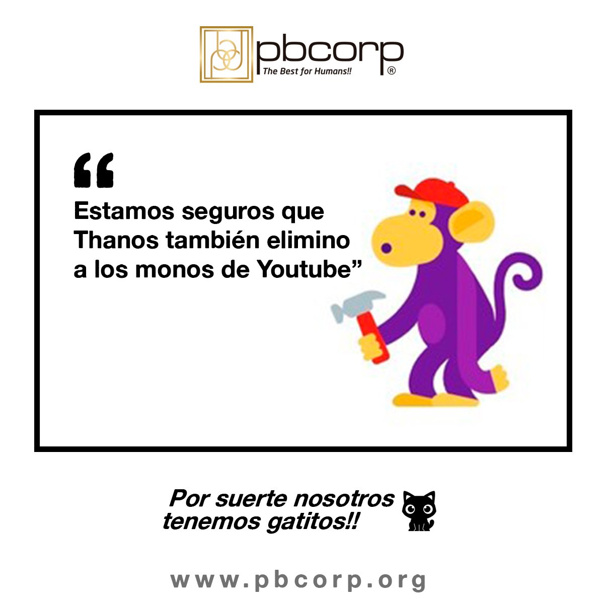 pbcorp_sa's tweet photo. Los 🙉monos de #Youtube no son tan eficientes como los #gatitos de #pbcorp!! 🐱

#YouTubeDOWN #GatitosSamurái #Pbcorpniano #MamáSecayóYoutube #NomásYoutube #LosMonosSePerdieron https://t.co/eC0kxeZSQH