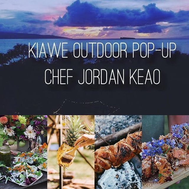 Liza Pierce tweet media