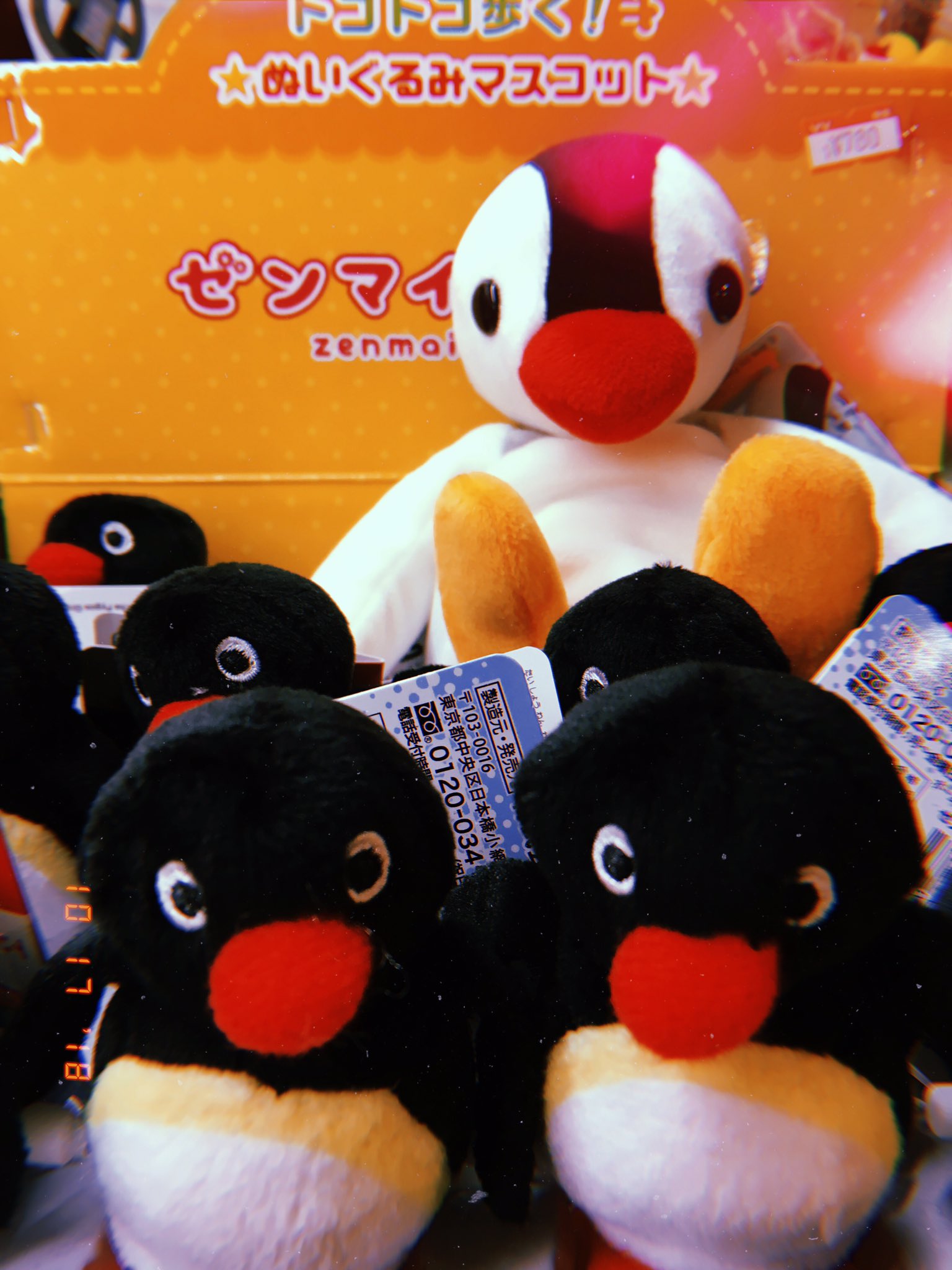 ヴィレッジヴァンガード渋谷本店 On Twitter ピングー ピングーゼンマイトコトコマスコット ピンガのお手玉ぬいぐるみが入荷しました かわいい ピングー ピンガ Https T Co 3blrj3viwx Twitter