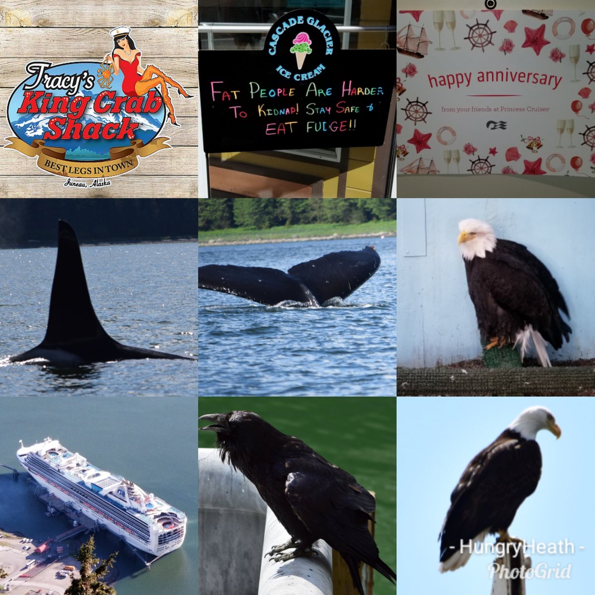 Heath Parker (thehungryheath) Twitter