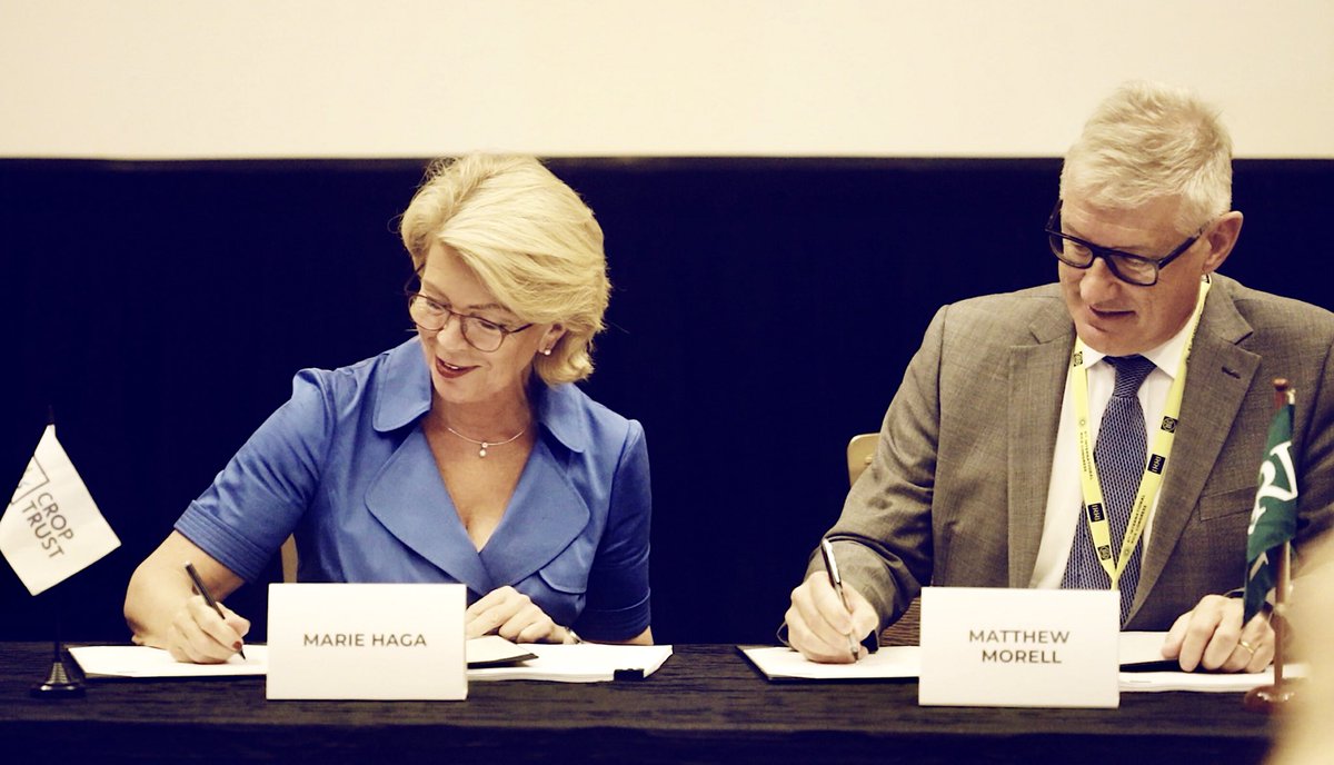 AslaugMarieHaga's tweet photo. A more #food and #nutrition secure world depends on #crop diversity. Honored on #WFD to sign agreement with @irri for the @CropTrust to provide #forever funding for 136 000 rice varieties. Important because 3 billion people rely on rice every day, and the number will increase. https://t.co/VtNxf09Gnj