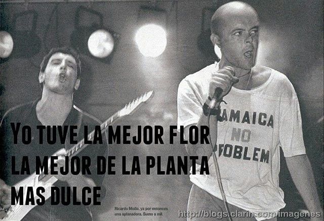Yo tuve la mejor flor, la mejor de la planta más dulce #CulturaRock