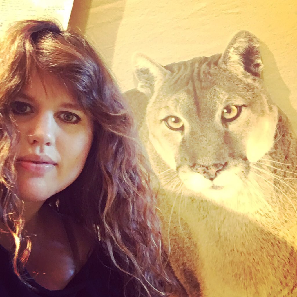 COAMBmusic's tweet photo. Lauren made new a friend, who may or may not be coming  to #dreamlovers #no2 and who may or may not be a cardboard cutout.  #🐅 #wildlife #catselfie #oaklandmusic #indiemusic https://t.co/bH2mXVr1CS