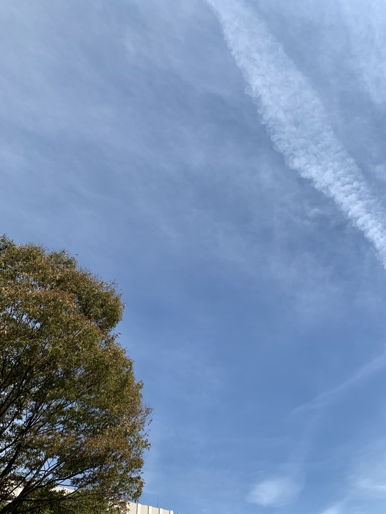 sinzxy's tweet photo. 薄っすらと雲がかかる秋の空 https://t.co/GaFgbMGGRr