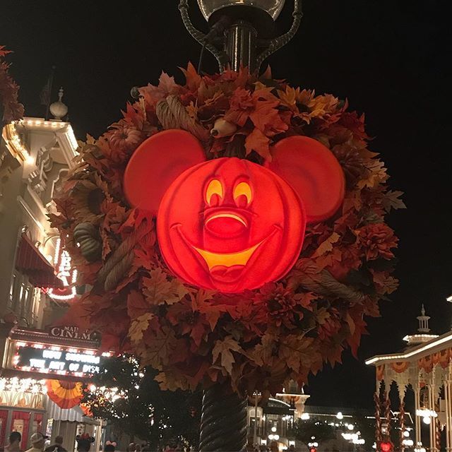WDWpov's tweet photo. Do you prefer Halloween or Christmas at Magic Kingdom?
#disneyhalloween #mickeynotsoscaryhalloweenparty #mickeyshalloweenparty #magickingdompark #disneysmmc #disneymom #fallatdisney #disneyfamily https://t.co/K0ahqiJTsQ https://t.co/OasBbcsiA0