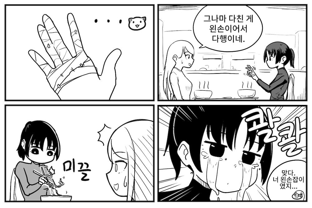 룸메가 내 손가락을 분질렀네 