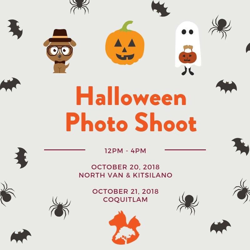 SARSBC's tweet photo. Hey, it’s that time of the year again! Don’t be a scaredy-cat, put on your spookiest costume, and come see us at @KornaPet’s annual Howl-loween photoshoot. We always have a fang-tastic time and are looking forward to seeing you! 🎃👻

Dates, time, and locations below: https://t.co/j1r6otMguq
