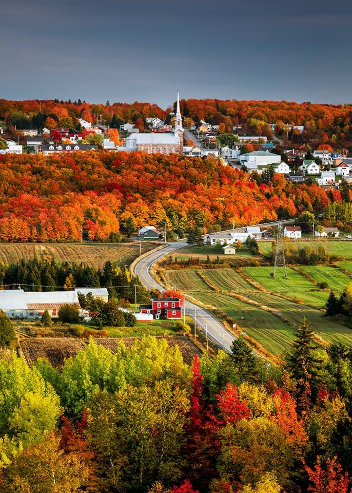 SimonTresim37's tweet photo. La route 287 qui mène au village de Mont-Carmel dans le Kamouraska... #Automne2017 #Octobre #BeautéduQuébec
Source: Québec à moto https://t.co/3FJFGjsQcM