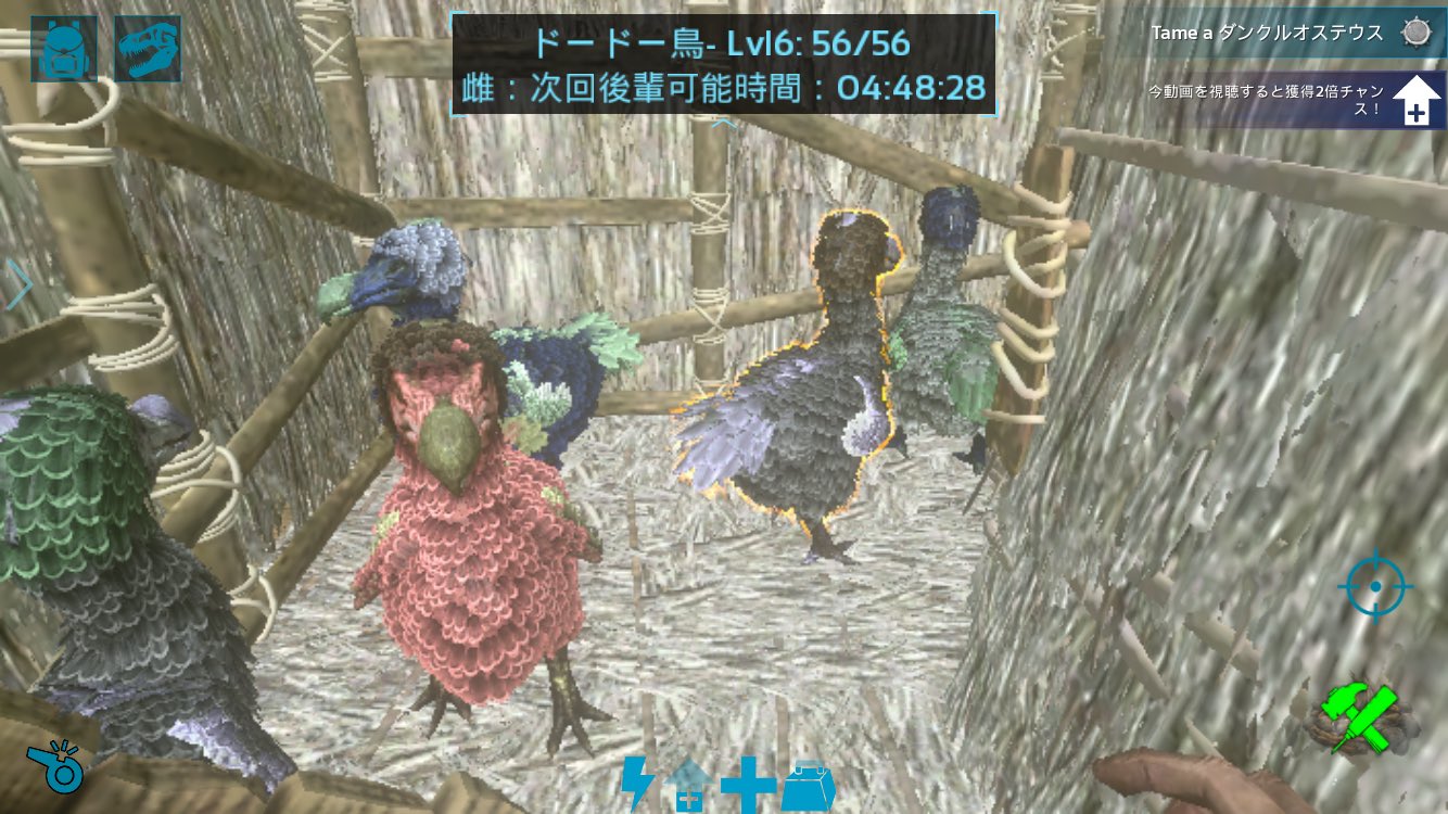 アン 久しぶりにドードー鳥 小屋に帰って来て へ 一匹増えてる と思ったら 卵が孵ったんですね 凄い 意味も分からず 適当な狭い藁小屋に閉じ込めてごめんよ 笑 Ark Arkモバイル T Co Ilta23aqar Twitter