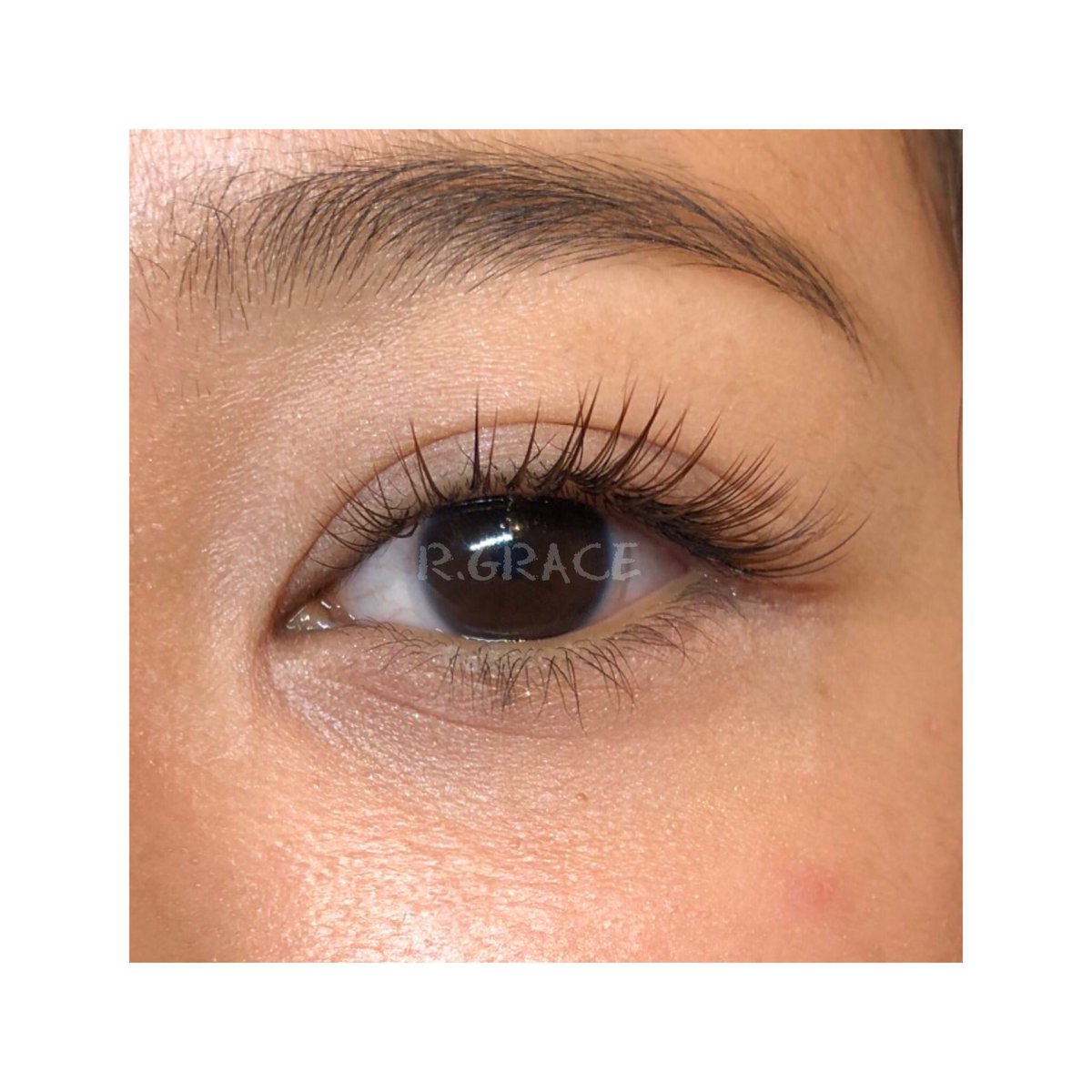 R Grace表参道店 今月はカラーエクステが お得です 秋はブラウンが人気ですよ お試しください マツエク 表参道 まつ毛エクステ カラーマツエク ブラウンマツエク