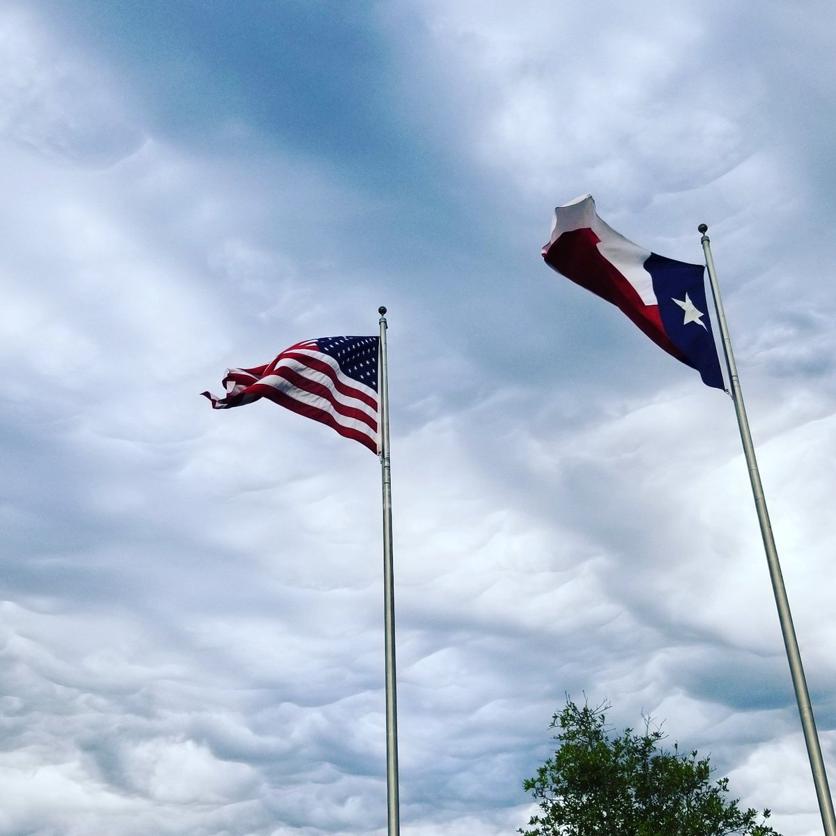 In Texas, you take care of Family, we do the right thing.  Those of you that did, and you know who you are, are much appreciated. We thank you from the bottom of our Heart.