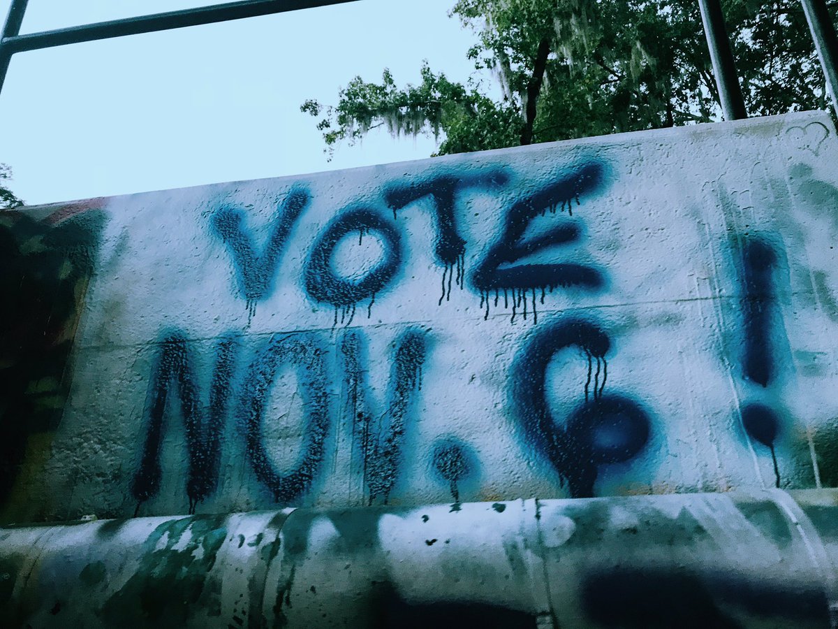 juliacordover's tweet photo. Spray painted my excitement about voting Nov. 6 @MFOLGainesville https://t.co/J1DlJzrGZw