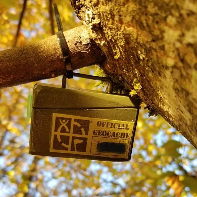 LANMonkeyGC's tweet photo. Special thanks to Murph for the gift of the ammo can on our #balticsea #geocaching #cruise together - it's now for all #geocachers to enjoy!
😉🌳🔎
.
#geocaching #ammocan #explorebc #traillife #getoutside #showusyourcache #GoGeocaching #explore #hide #h… https://t.co/OHPnK7CcI1 https://t.co/6JDY3AwyTF