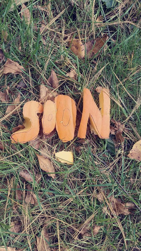 SonataProblem's tweet photo. https://t.co/0nHbDO2RX9