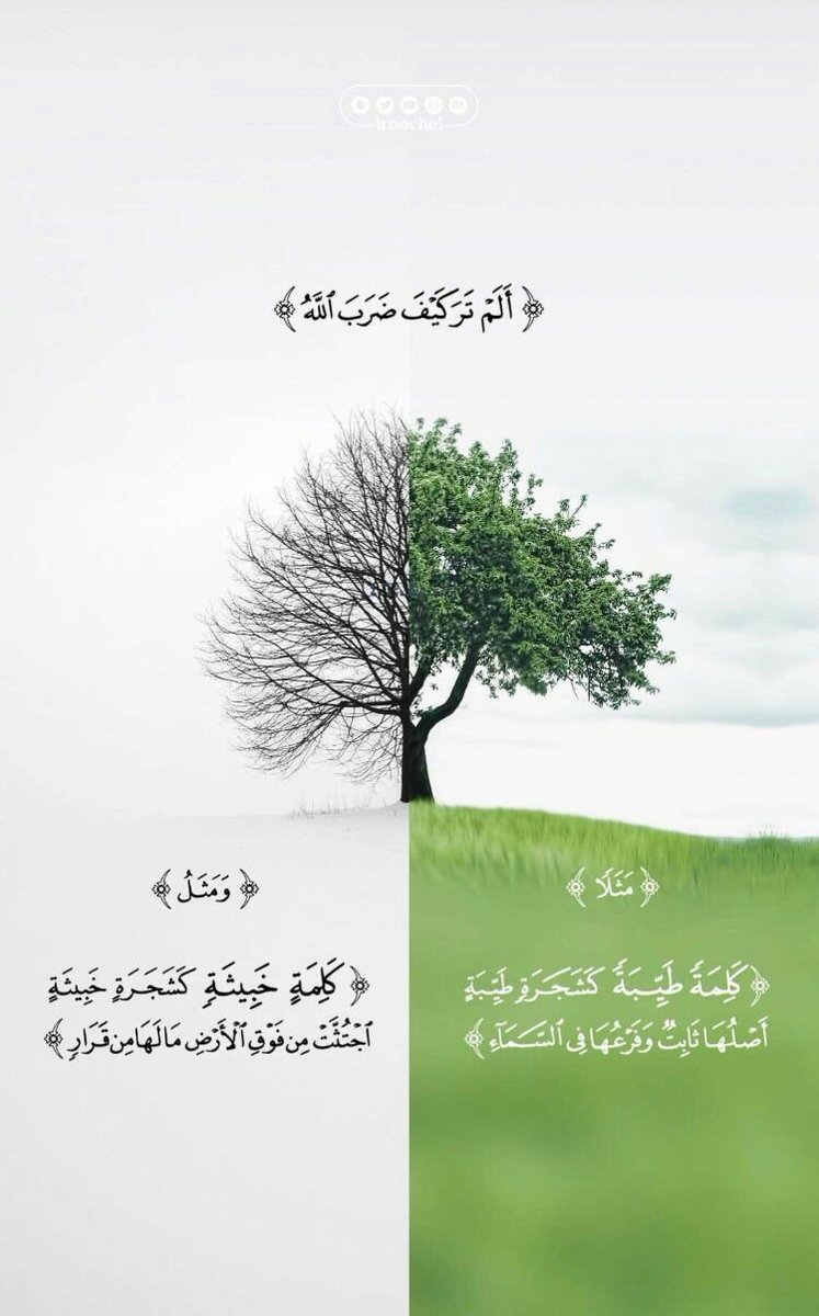 EZZATVICH's tweet photo. يوجد اشخاص معانا هنا جمال روحهم اشبه بنور يشع محبه وامل ومودة ورحمة وتسامح
يجعلنا لو فينا هموم الكون و نفوسنا مرهقة تعيد لها نشاطها وحماسها التي تجعلها تكمل الايام العصيبة
سلاما عليكم طبتم اينما كنتم💚🦋
واشخاص ربنا يحفطنا ويهديهم لو نفسنا قوية و سليمه يجعلوها ضعيفة ومرهقة🖤🦂 https://t.co/bVzX4bl39l
