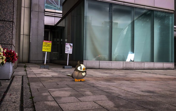 ポケモンgoで ムックル が話題に ポケgo トレンディソーシャルゲームス ポケモンgoで ムックル が話題に ポケgo トレンディソーシャルゲームス