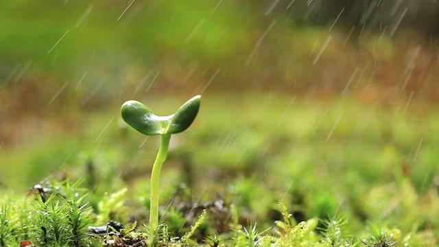 figprayer tweet picture