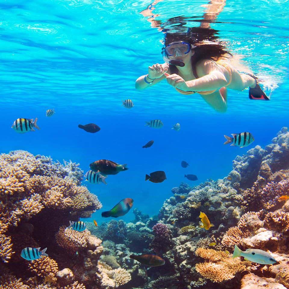 VakantieDetect's tweet photo. LUXE ⭐⭐⭐⭐⭐ zonvakantie naar 🇪🇬EGYPTE🇪🇬 voor een stuntprijs!💸💸
https://t.co/tX6jy4QGoD
#Egypt #Marsaalam #Hurghada #allinclusivevacations https://t.co/kC5WG0lhnc