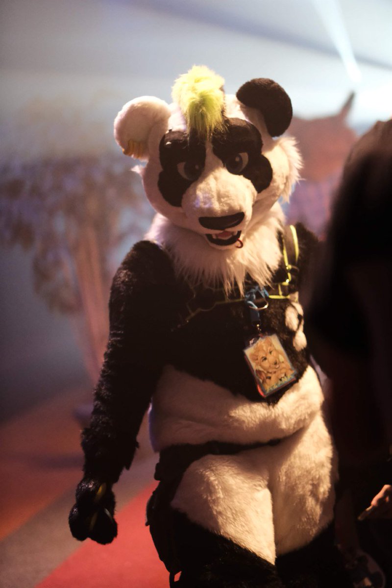 BurlyPowerMew's tweet photo. Want to join in for a dance?
πΈ @khakidoggy
π @TwinkyArts
π @BearNubStudio
π @DutchFurdance #DFD2 https://t.co/iO3te4T20e https://t.co/TJJWCxrqh3