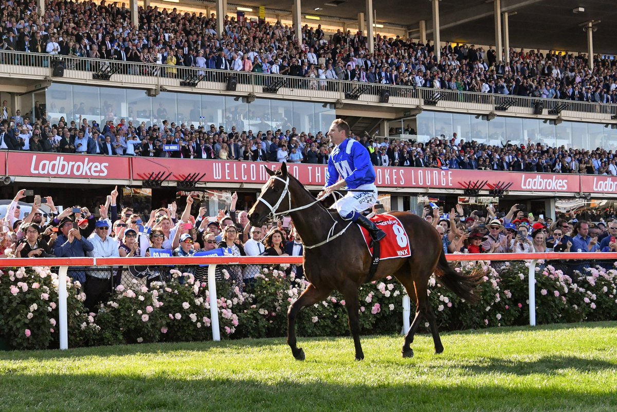 Spring Carnival tweet media