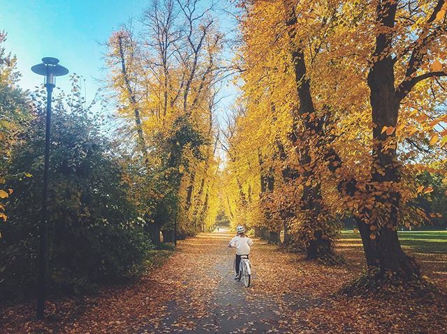 joeriksson's tweet photo. Autumn in Åkeshov, Stockholm

#stockholm #stockholmmoments #mysthlm #ig_sweden #igersstockholm #travel #wanderlust #igswstockholm  #ilovestockholm #wu_sweden #visitstockholm #visitsweden #this_is_stockholm #ig_sweden #capitalofscandinavia #åkeshov #bromm… https://t.co/w128Eclrgw https://t.co/wKtXnmzUl6