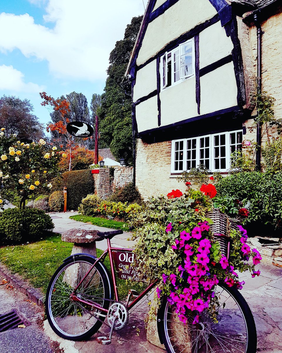 Yellow Moon Tours tweet media