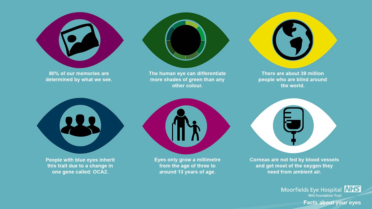 Moorfields's tweet image. People with blue #eyes inherit this trait due to a change in one gene called: OCA2.