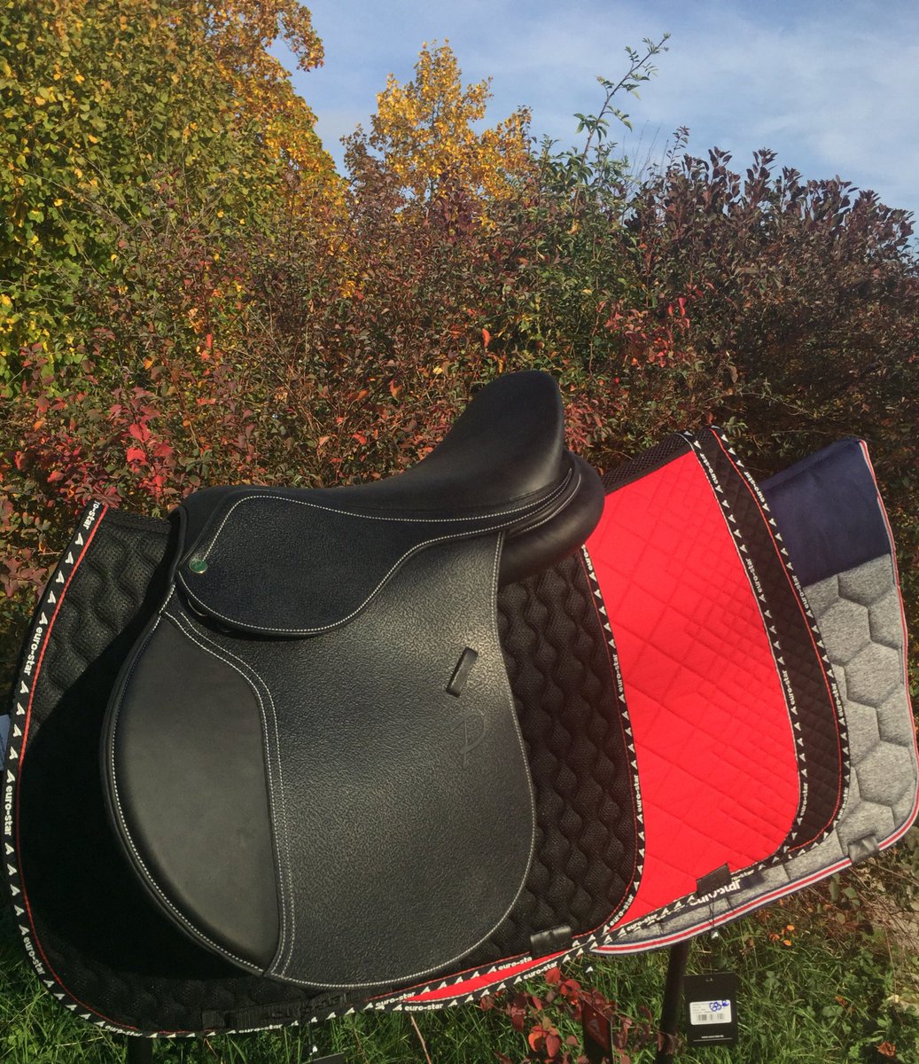 ChevalissimoTHI's tweet photo. Canon cette nouvelle collection ! #eurostar https://t.co/5eRaJct77c