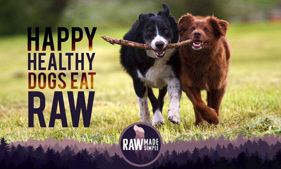 happy dog raw
