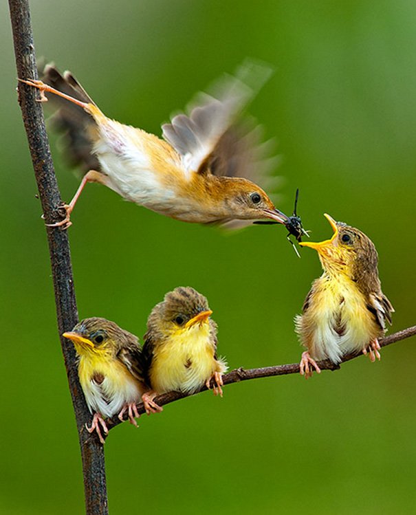 It's time to lunch.