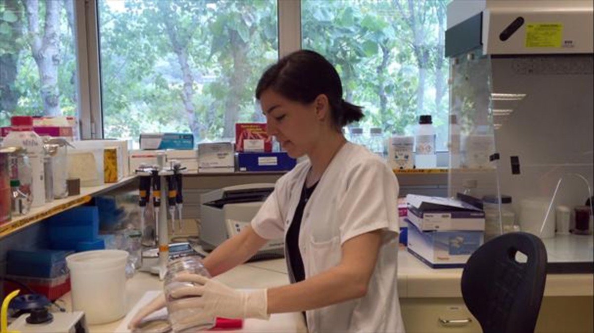 Today was an important day. Five people treated with stem cells, have been cured from AIDS.
The research is based on the only person in the world who had been cured from AIDS after undergoing a stem cell transplant to treat the leukemia he also suffered. 
goo.gl/Rx8HJb