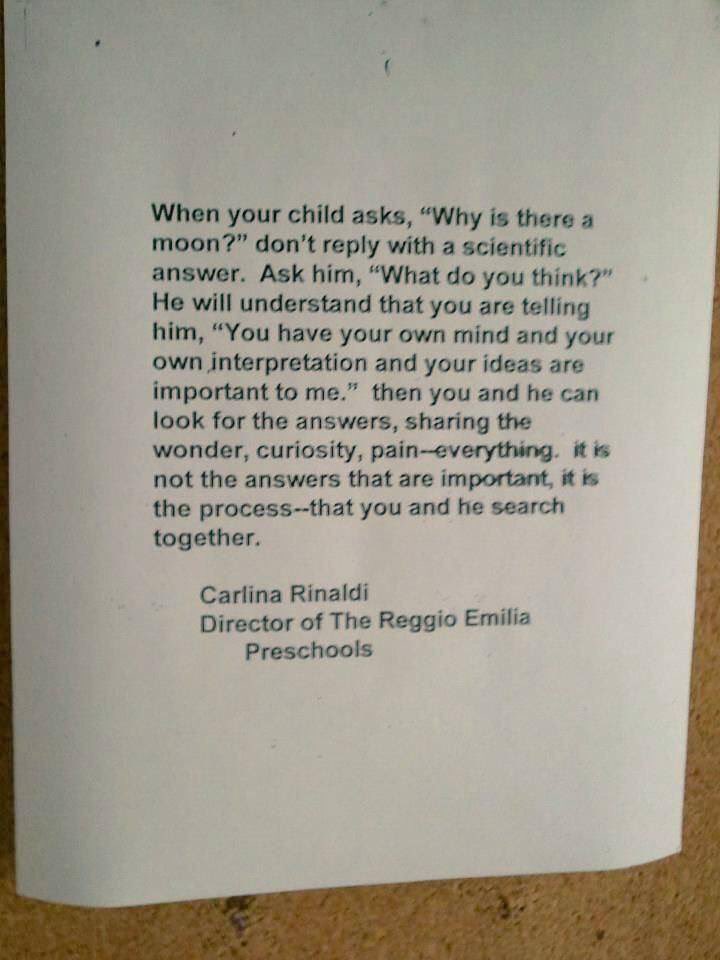 Little Pumpkins tweet media