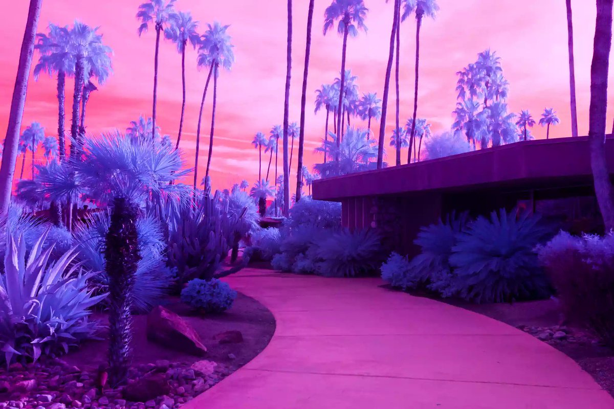 mixdevil66's tweet photo. Having converted a digital camera for #infrared, #KateBallis used her #InfraRealism #photography series to show unique #desert-scapes, such as the #JoshuaTree and #Sedona in the US and the #Atacama desert in South America, in a different way https://t.co/6E2zdcfZkm https://t.co/vnLHReGwy5