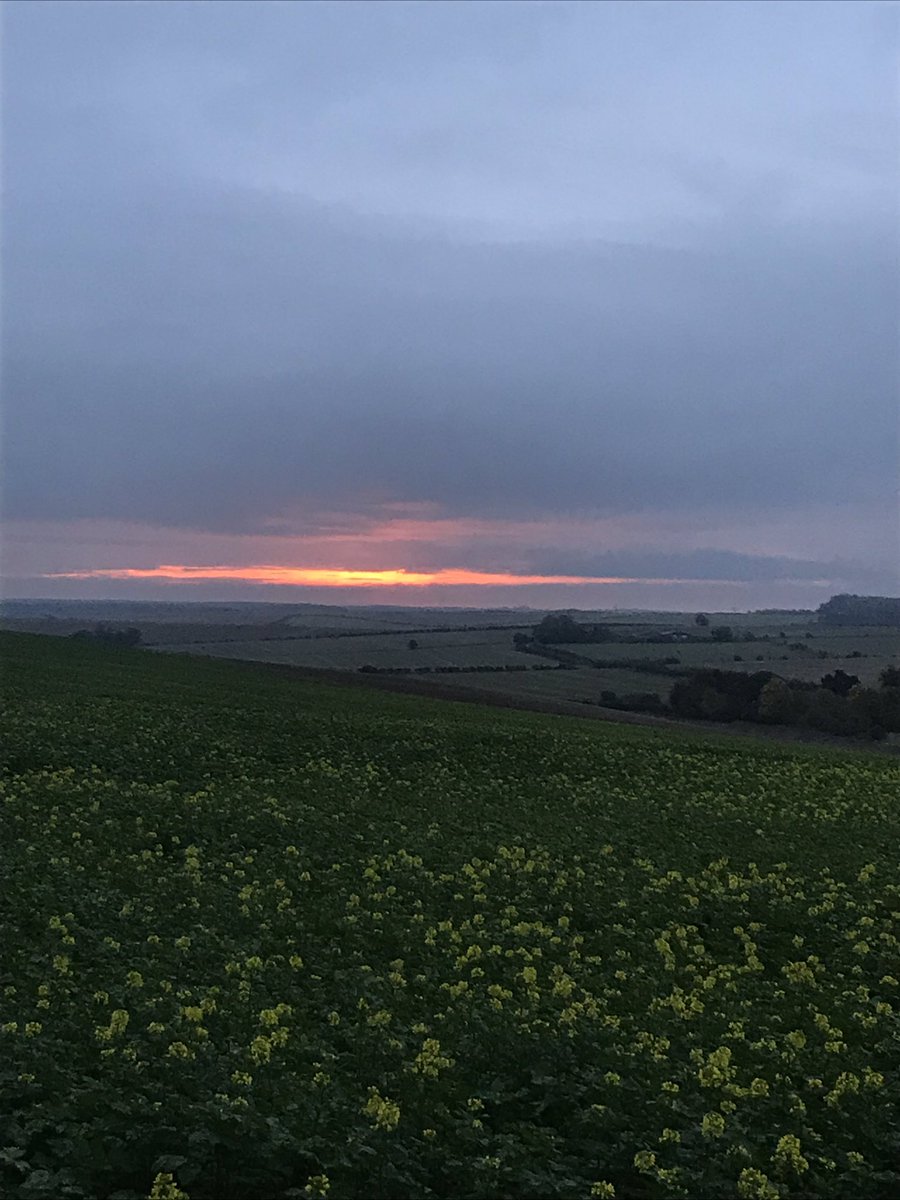 A good day in parliament yesterday with <a href="/CLAEast/">CLA East</a> <a href="/george_hurrell/">Newton Farms</a> <a href="/PCCCambs/">Darryl Preston PCC Cambs & Peterborough</a> <a href="/heidiallen75/">Heidi Allen</a> talking about how best to stamp out hare coursing and help our brown hare.              The sunrise this morning whilst out checking if I’d had more hare coursers was pretty good #farming