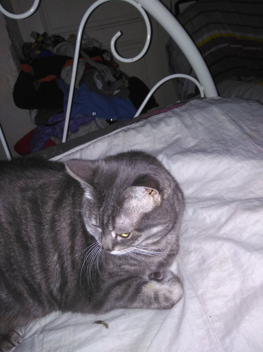 Amandine Ma Bouille D Amour A Dix Ans Aujourd Hui Bon Anniversaire Mon Tao